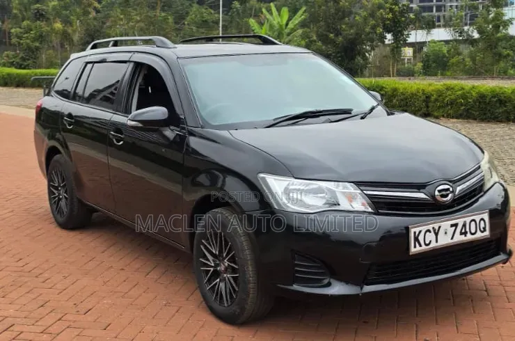 Toyota Corolla Fielder 2010 Black