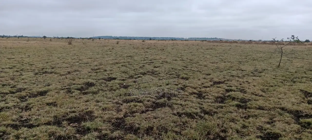 Land for Sale in Juja-Kiambu County