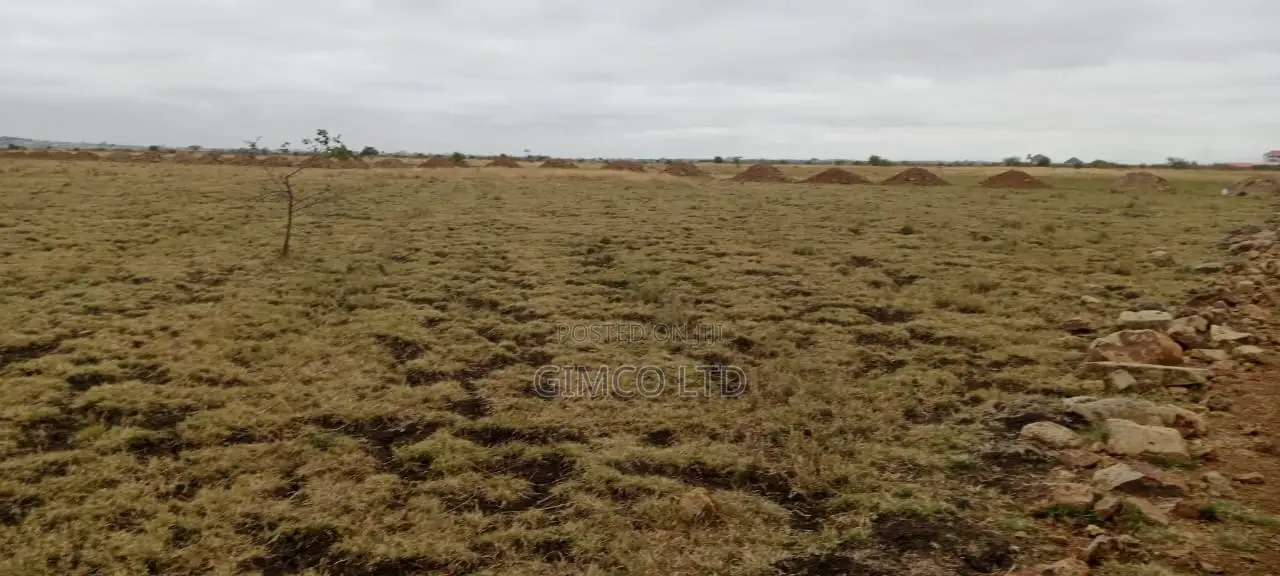 Land for Sale in Juja-Kiambu County
