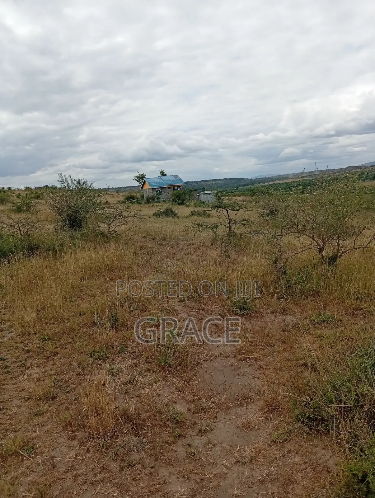 Affordable 1/8th Acre (50x100) Prime Land in Kisaju – KES 1.05M