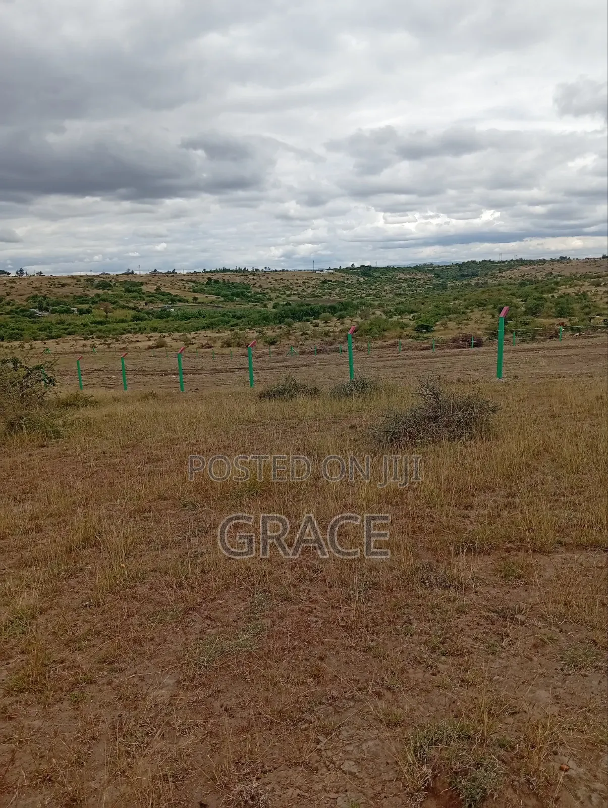 Affordable 1/8th Acre (50x100) Prime Land in Kisaju – KES 1.05M