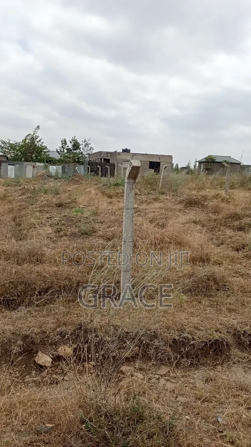 Affordable 1/8th Acre (50x100) Prime Land in Kisaju – KES 1.05M