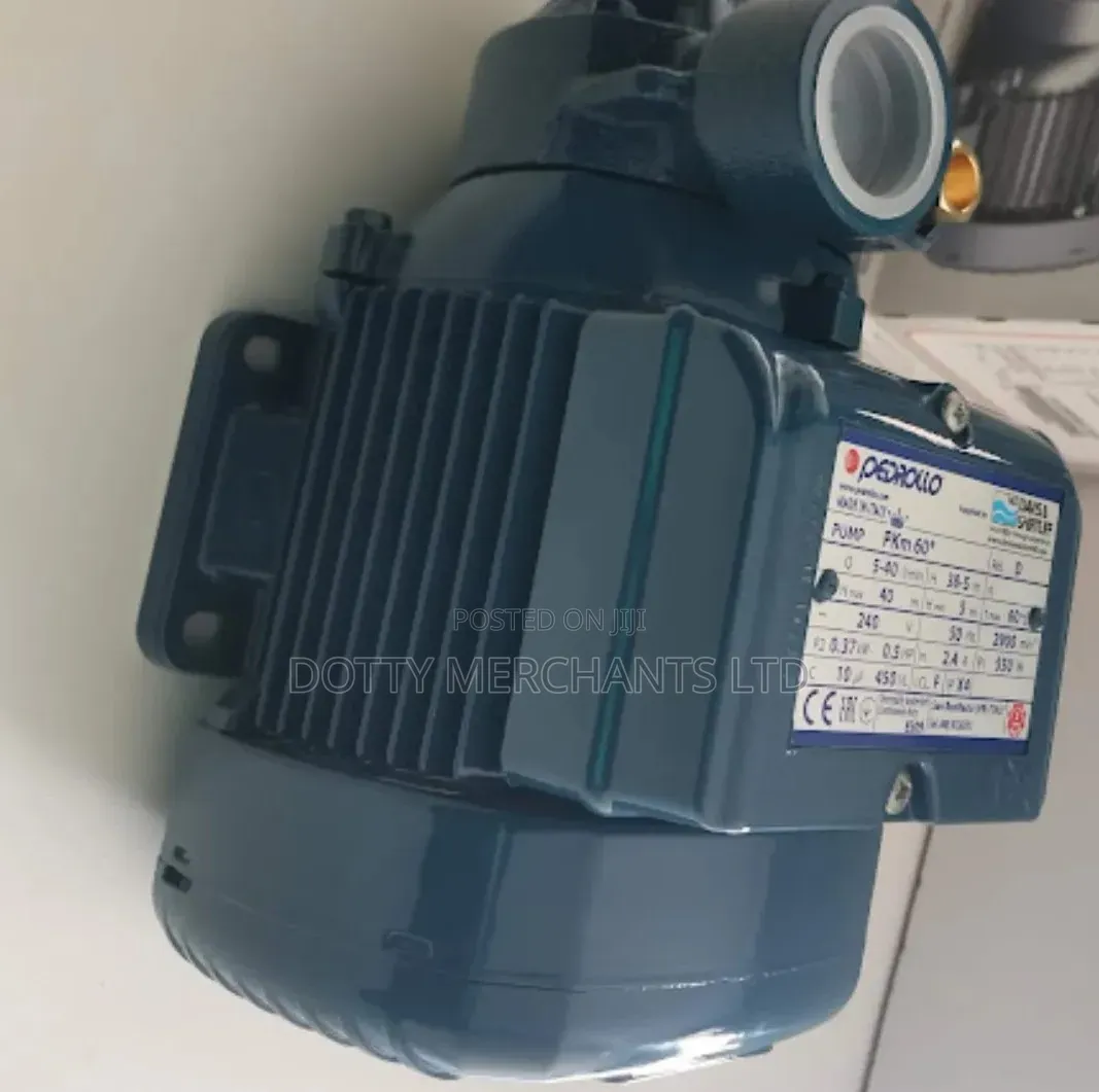1HP Surface Water Pump