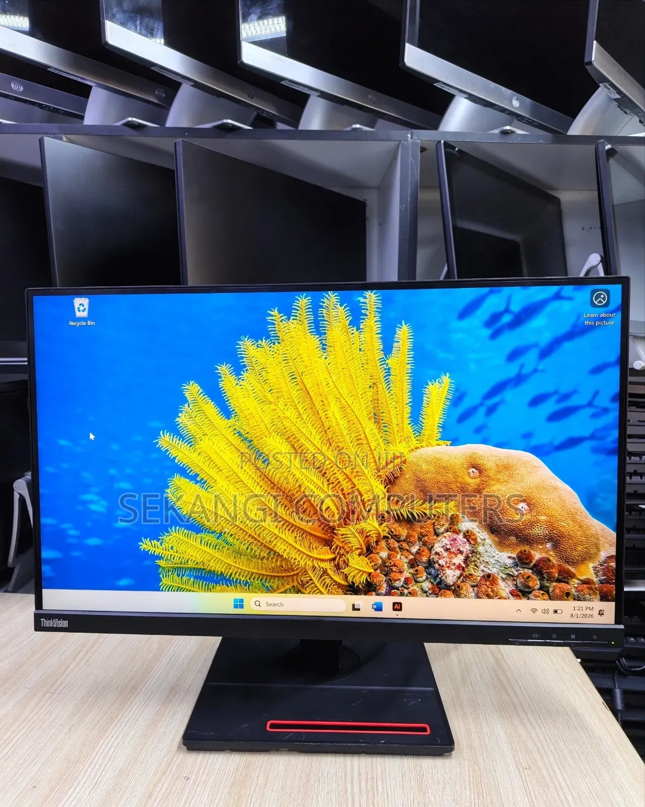 ThinkVision P27h-10 Monitor