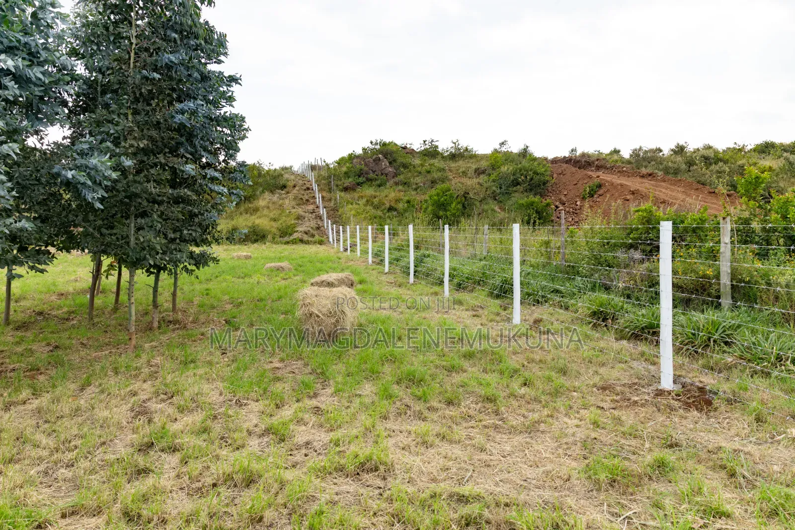 Cedar Crest Phase 2 - Secure Tomorrow's Value Today.