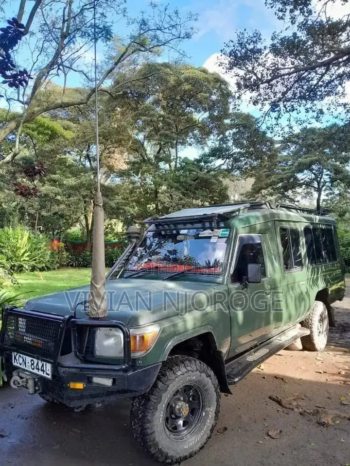 Private Chauffeur Safari Game Drive Services