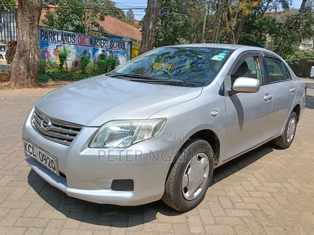 Toyota Axio 2010 Gray