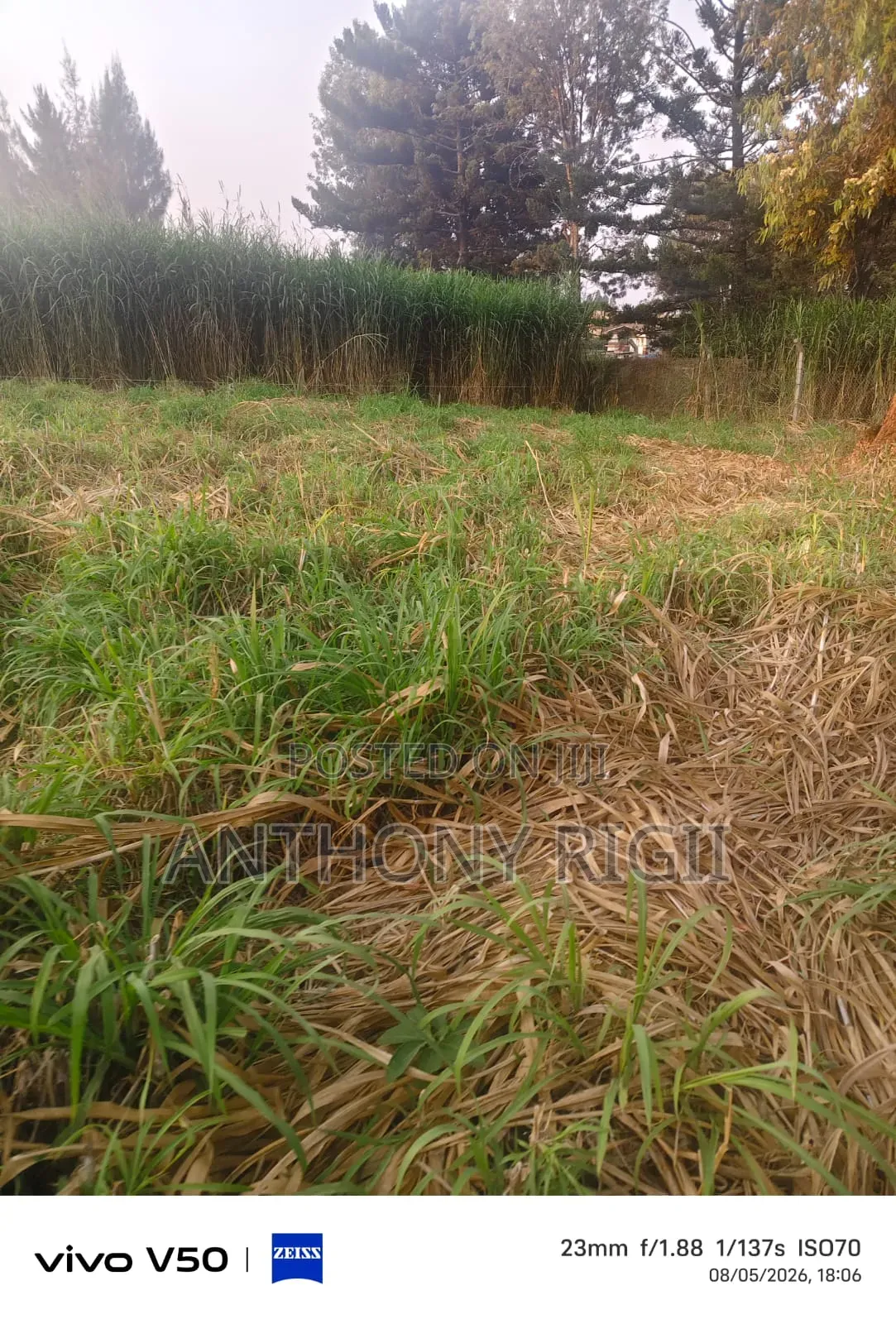Prime 100×100 Residential / Commercial Land for Sale – Kikuyu Town