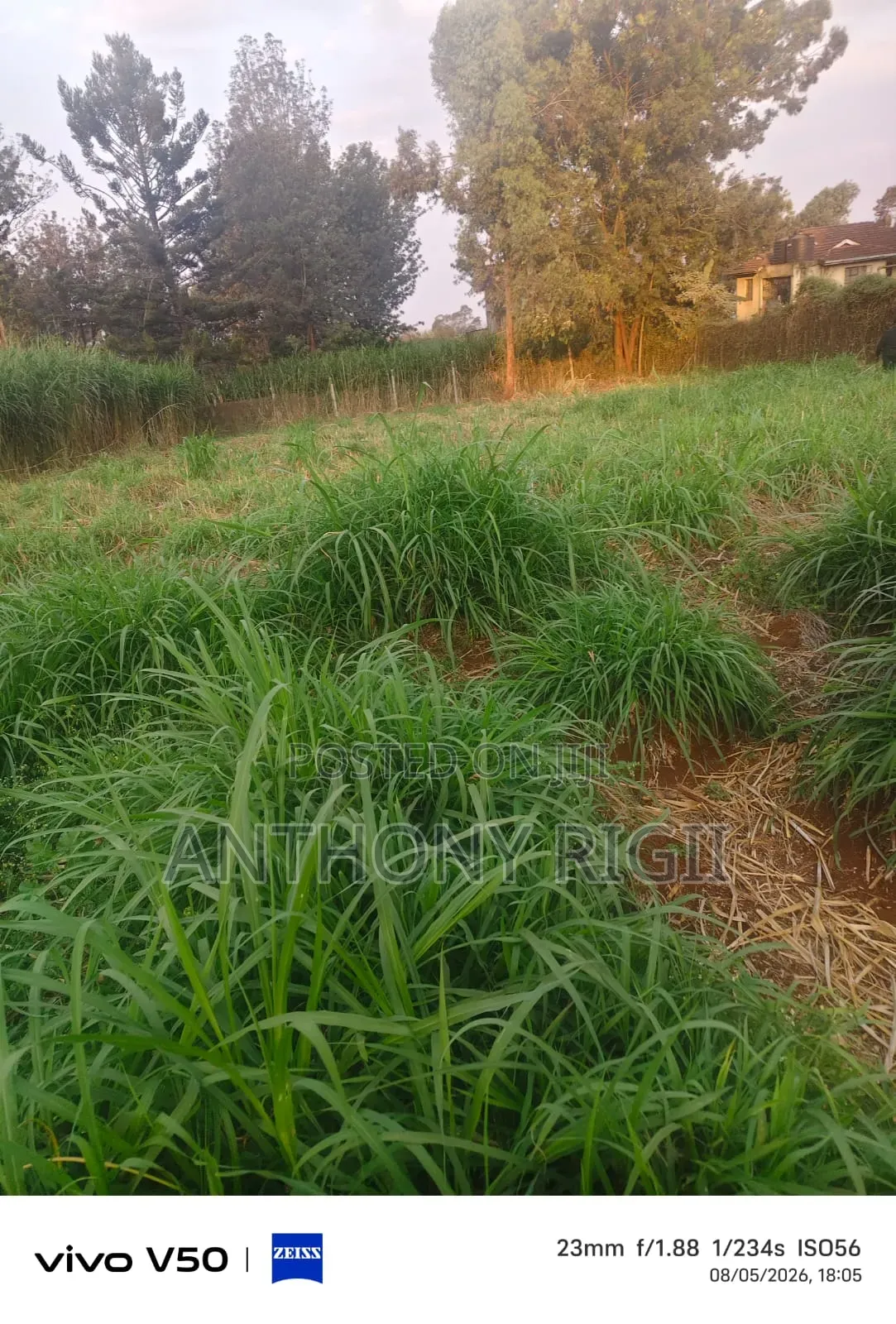 Prime 100×100 Residential / Commercial Land for Sale – Kikuyu Town