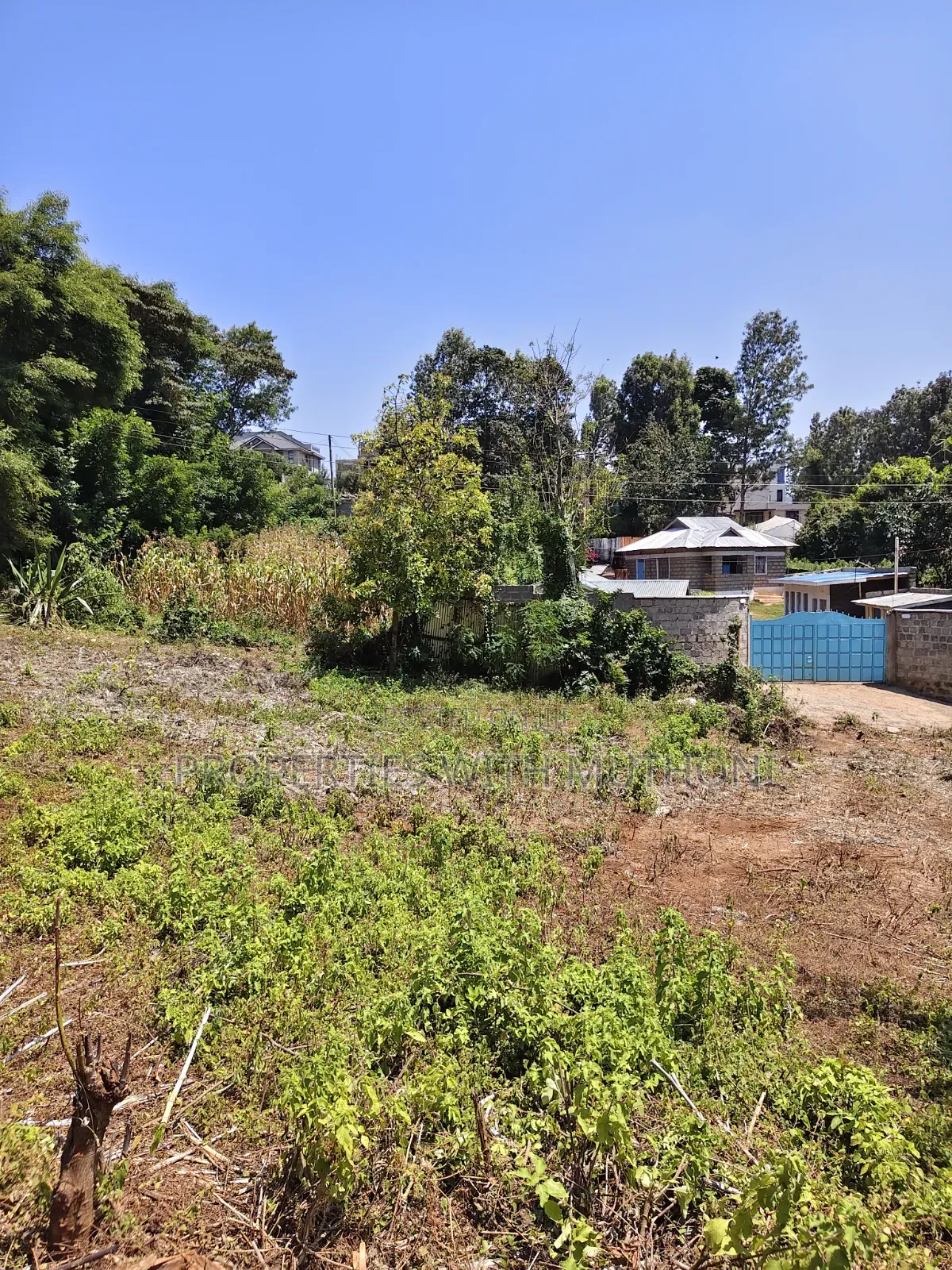 100×100 Plots for Sale in Matasia, Ngong.