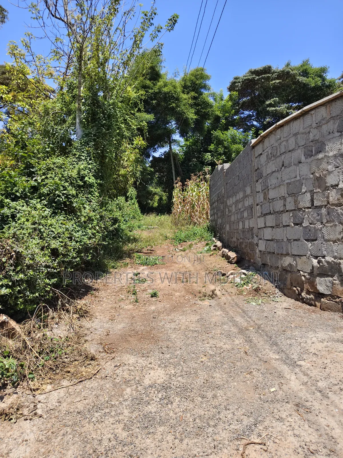100×100 Plots for Sale in Matasia, Ngong.