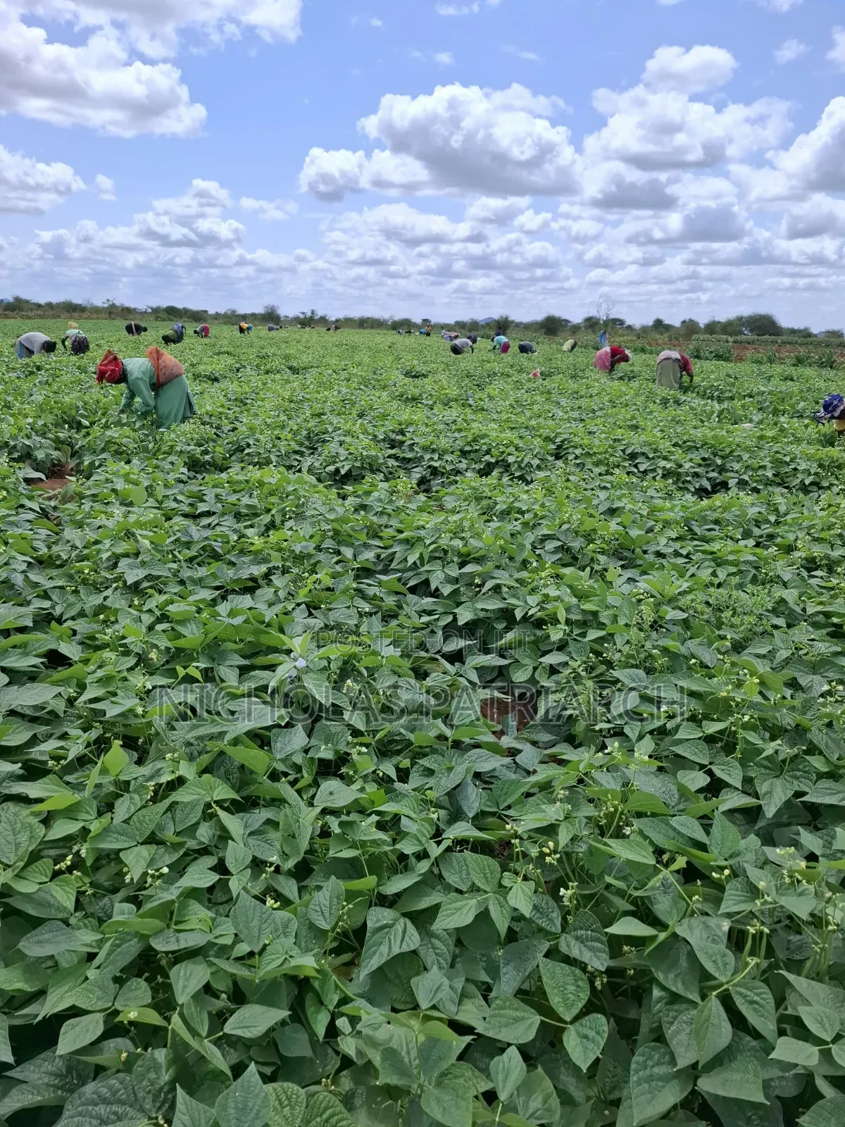 45 Acres Farm Kiboko -Mombasa Road Selling at 92m