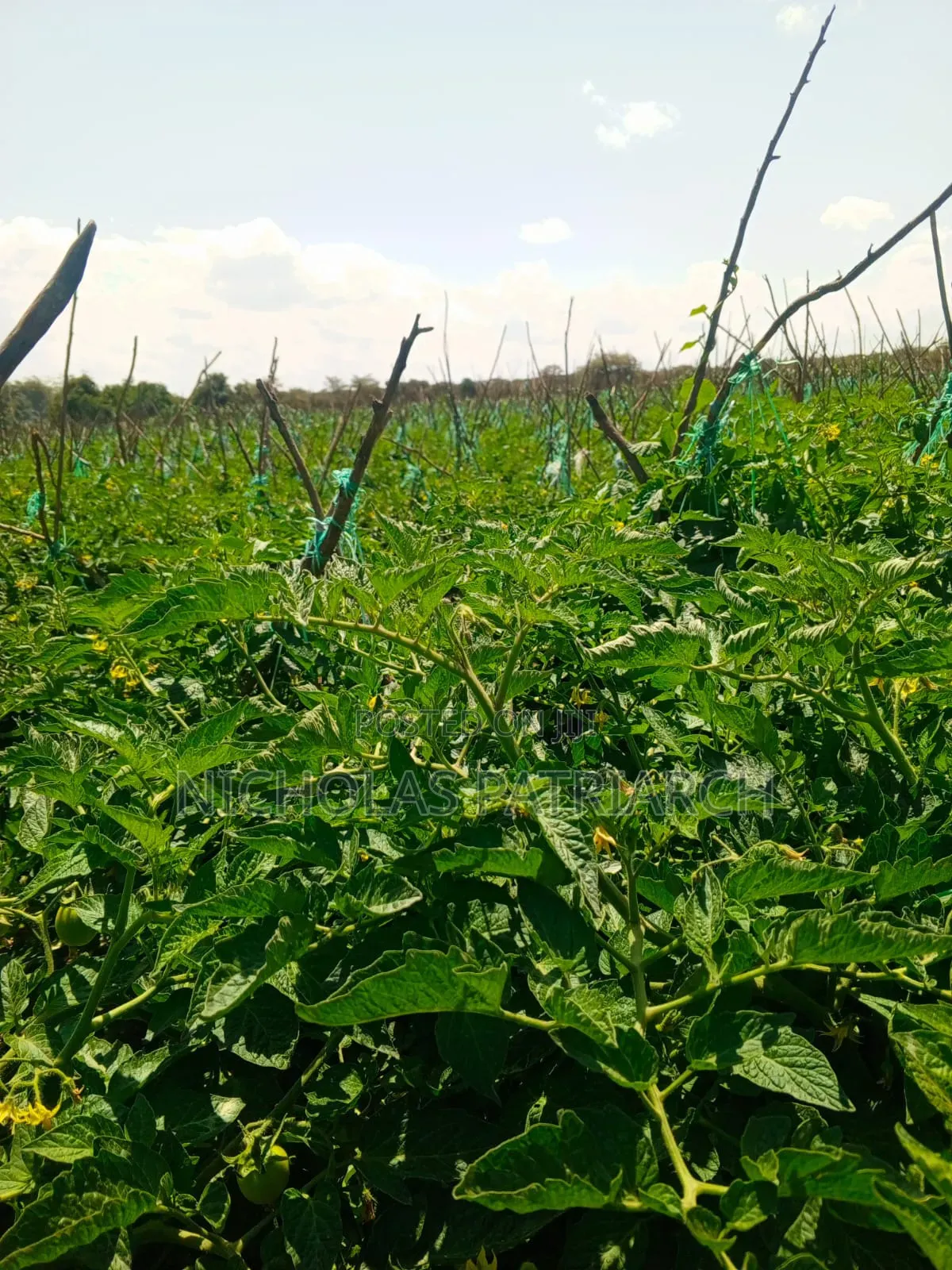 45 Acres Farm Kiboko -Mombasa Road Selling at 92m