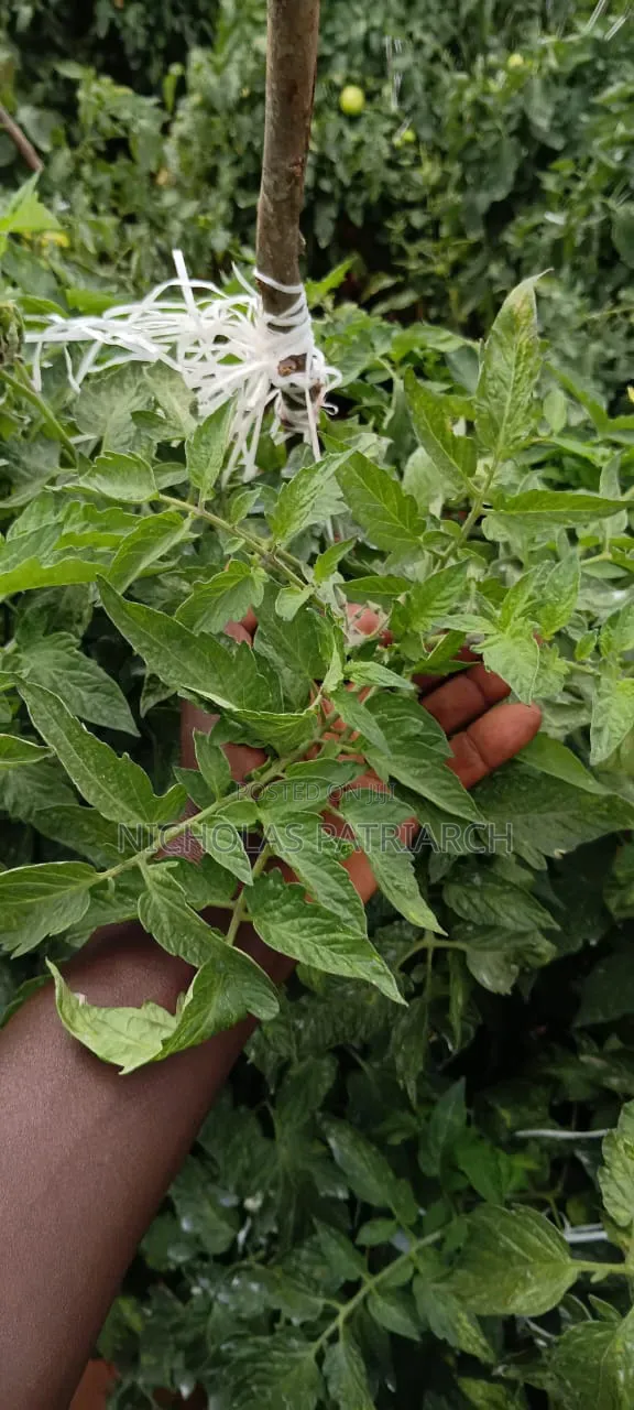 45 Acres Farm Kiboko -Mombasa Road Selling at 92m
