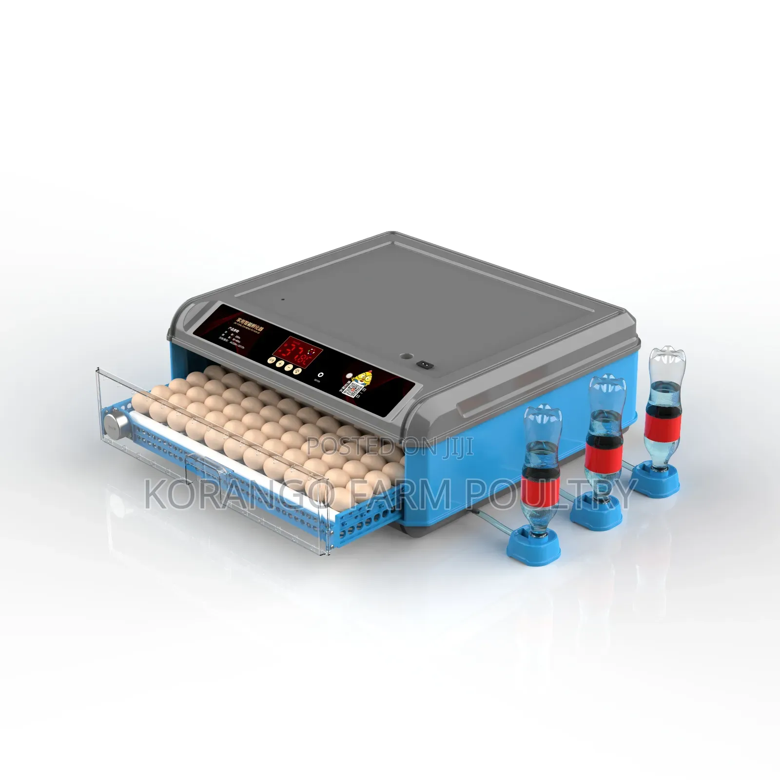 Chicken Eggs Incubator