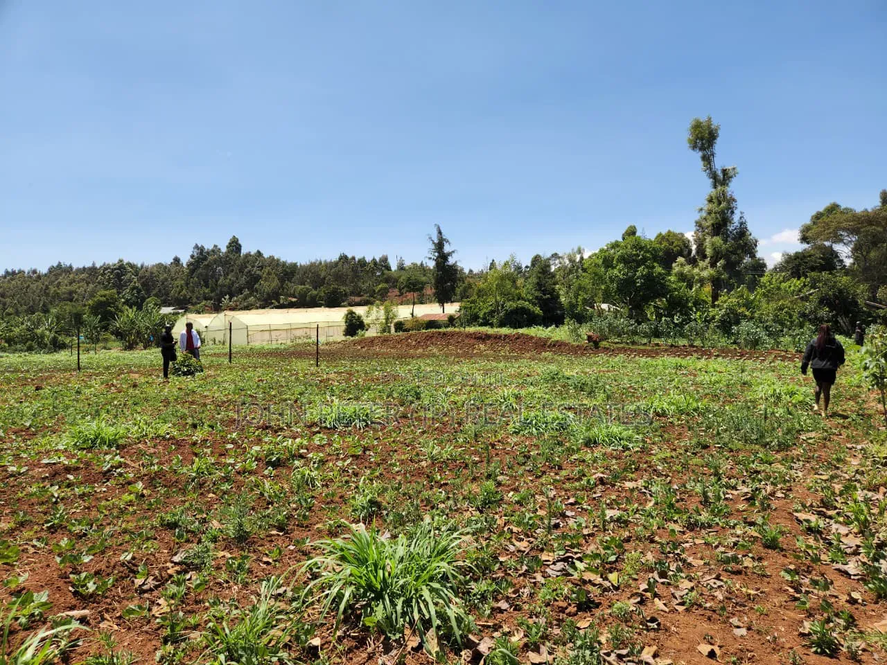 Residential Plots in Chungamali, Mirithu