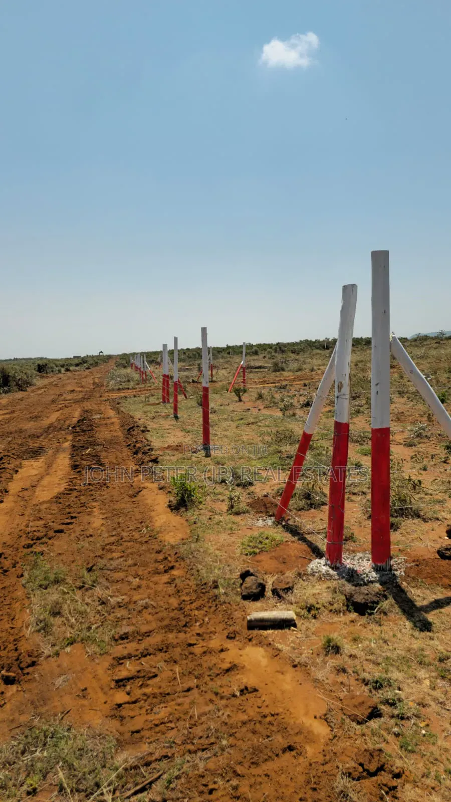 Nachu, Kikuyu Plots