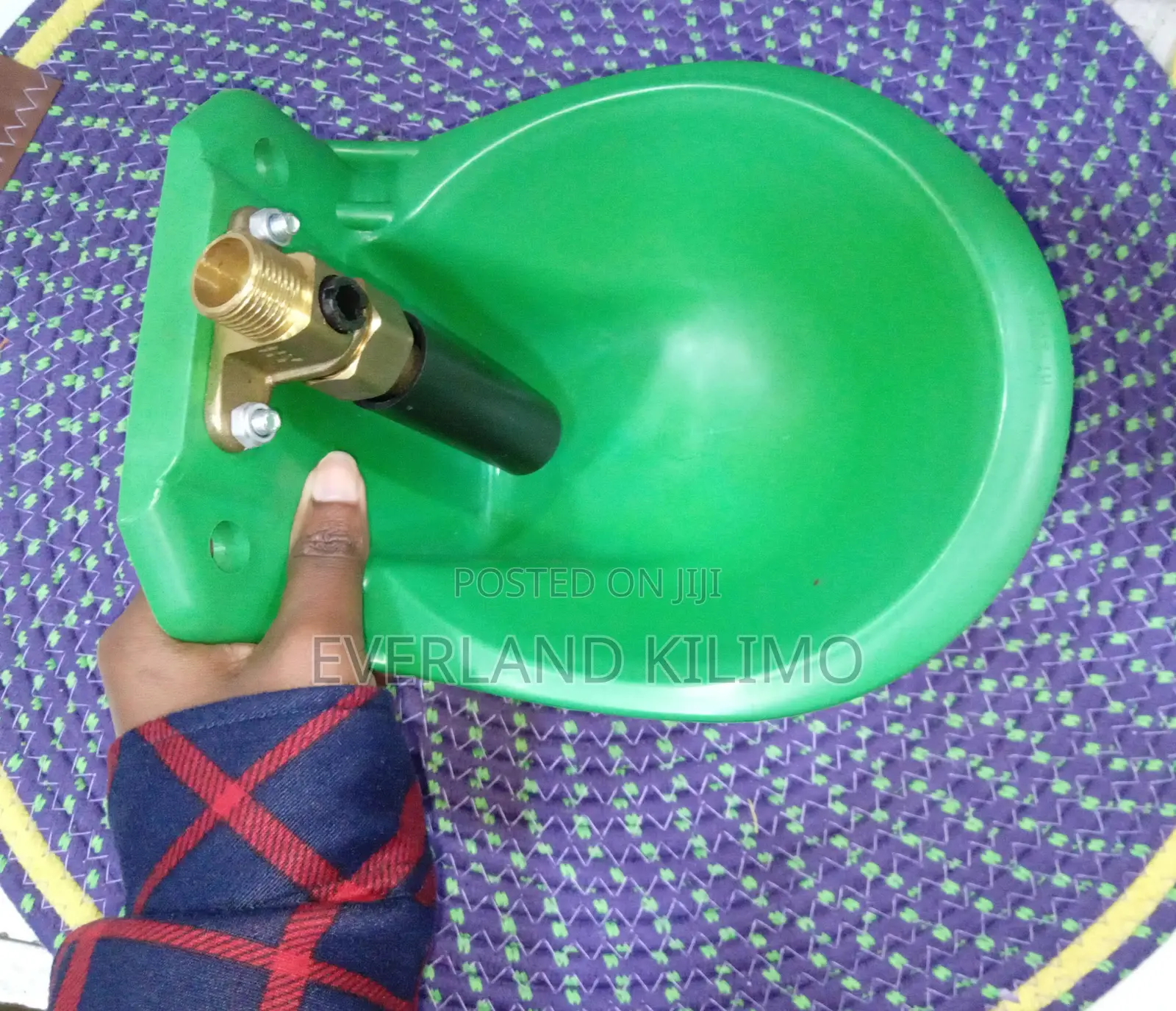 Automatic Sheep Drinker