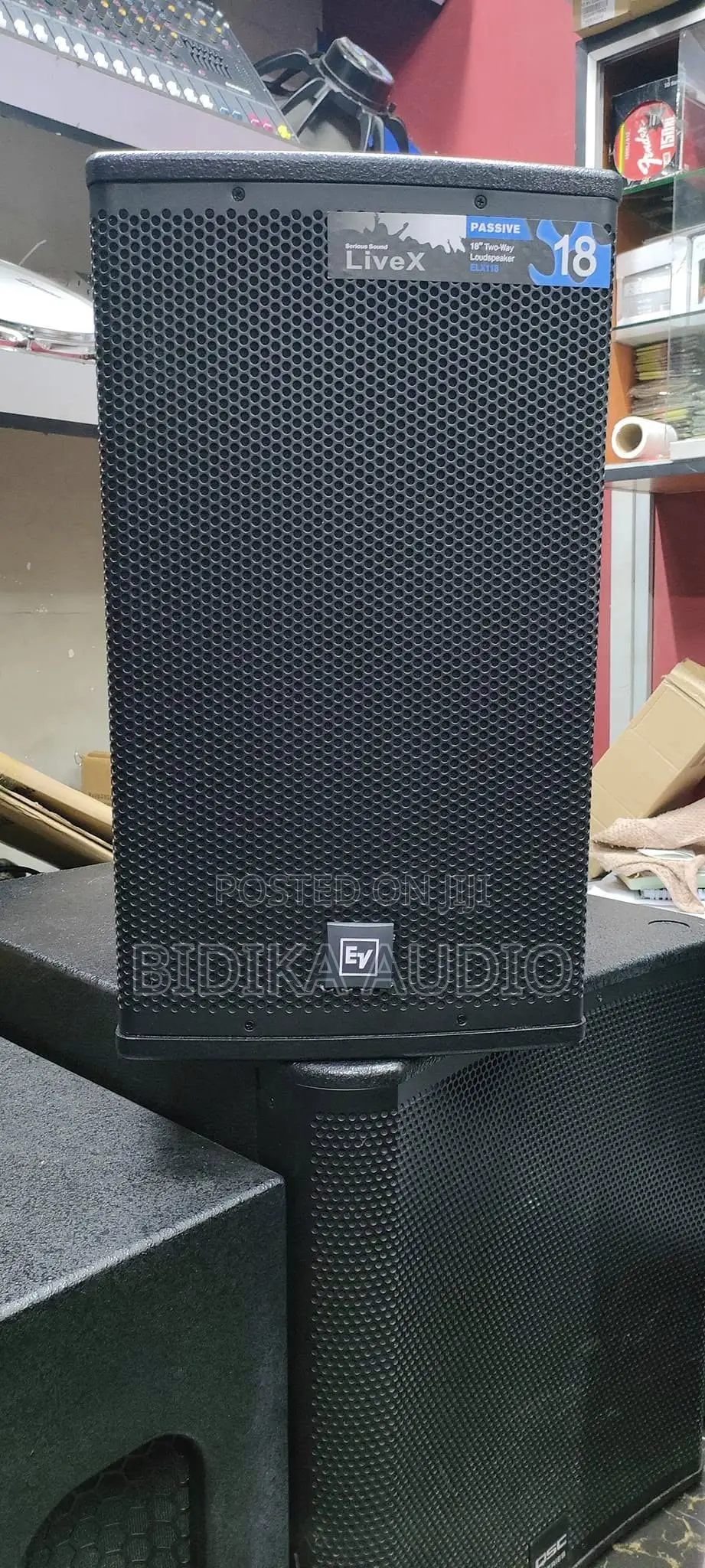 Electro-Voice LiveX Professional 15" PA Speaker (Passive)