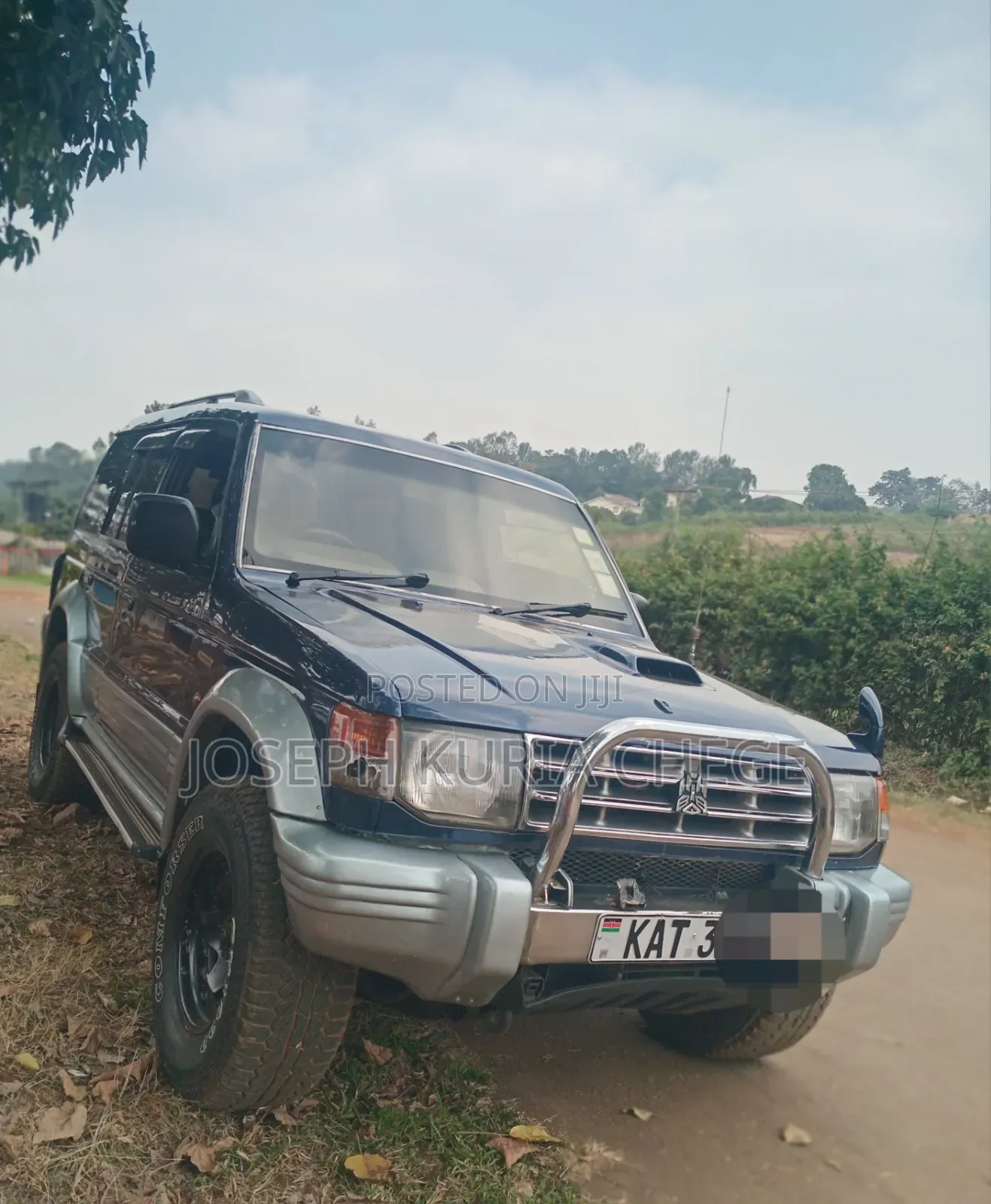 Mitsubishi Pajero 1999 Blue