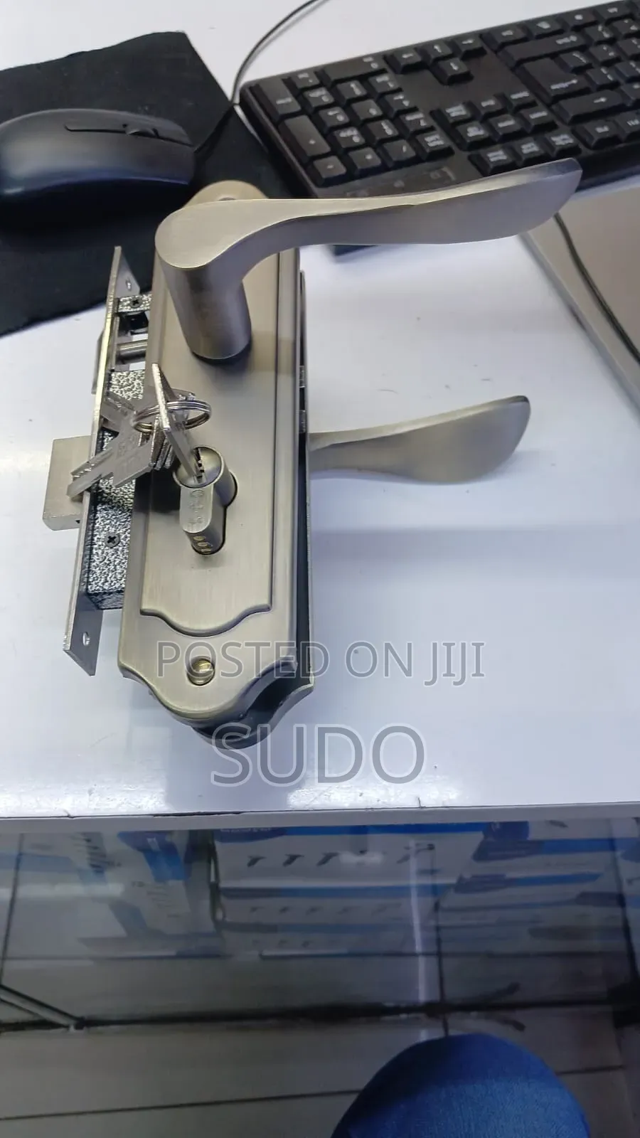 Flush Door Locks