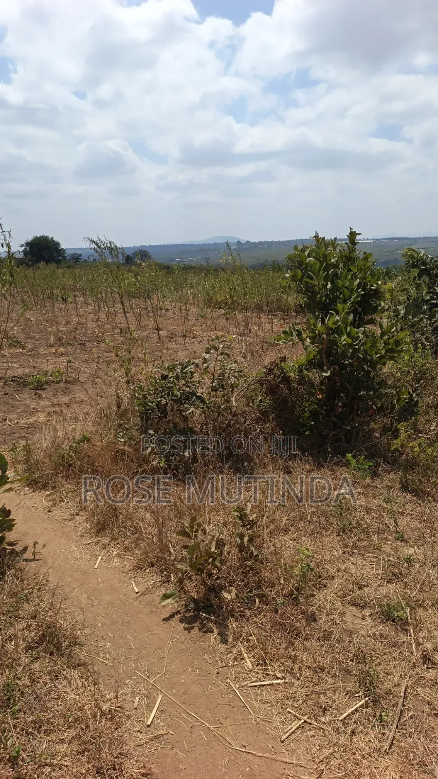 38 Acres at Kayatta /Ndunyu Sabouk