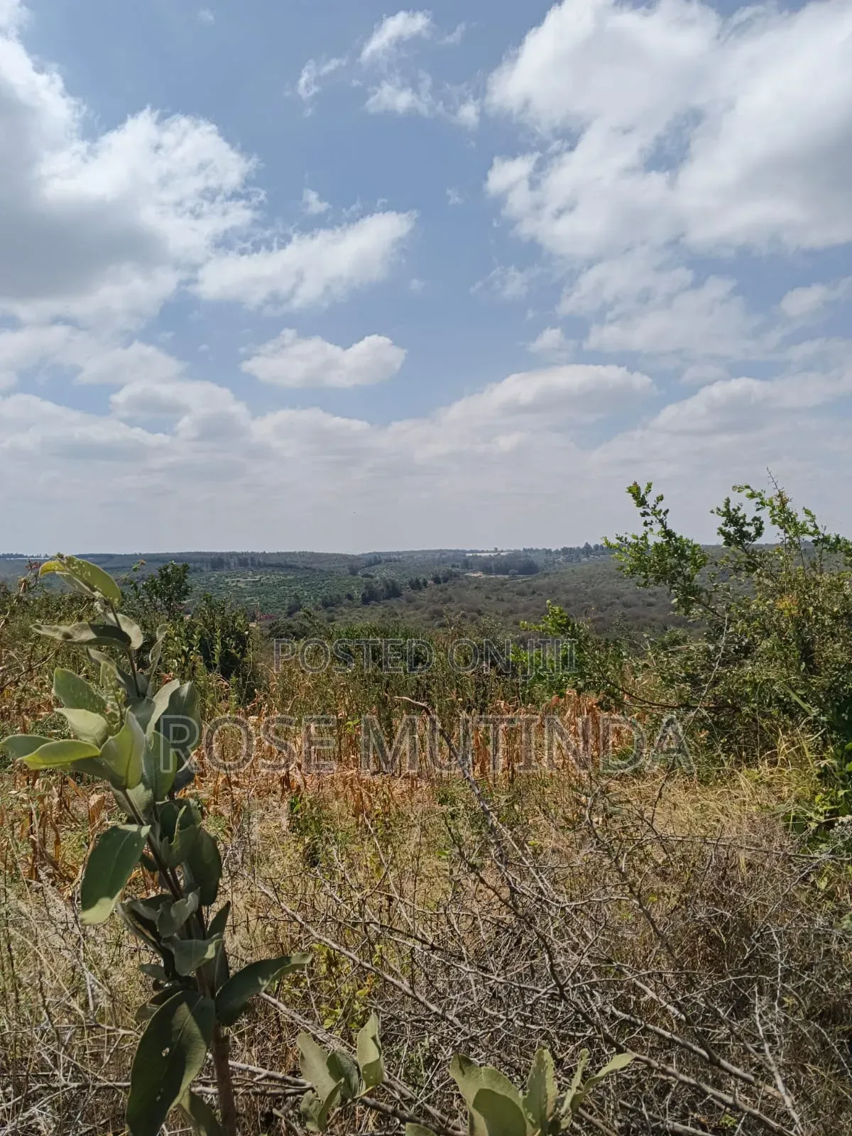 38 Acres at Kayatta /Ndunyu Sabouk
