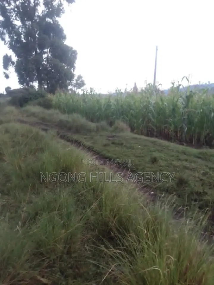 Prime 7-Acre Agricultural Land for Sale | Kamuyu Village, Burnt Forest