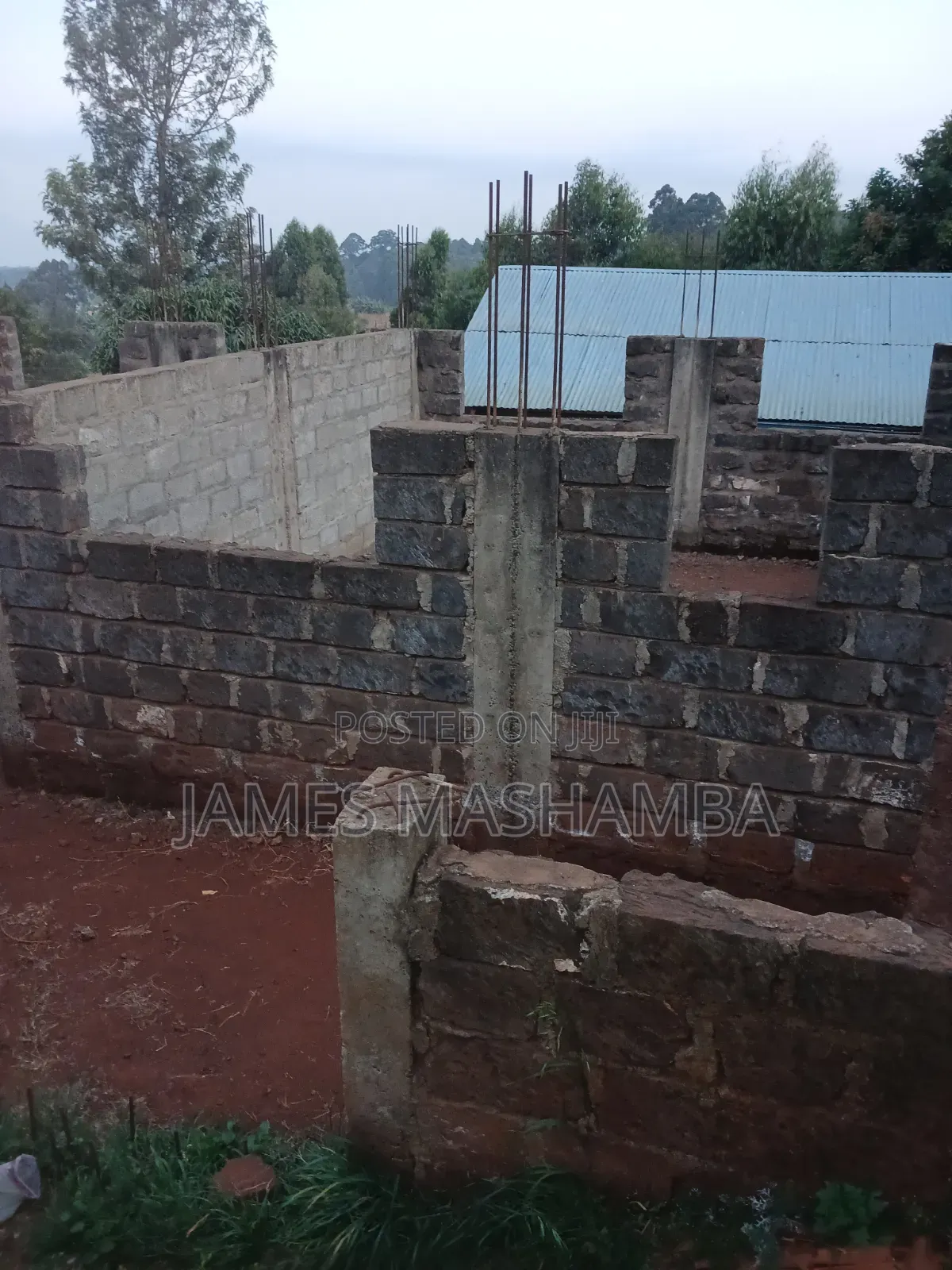 1/2 Arce Plot in Thogoto Kikuyu