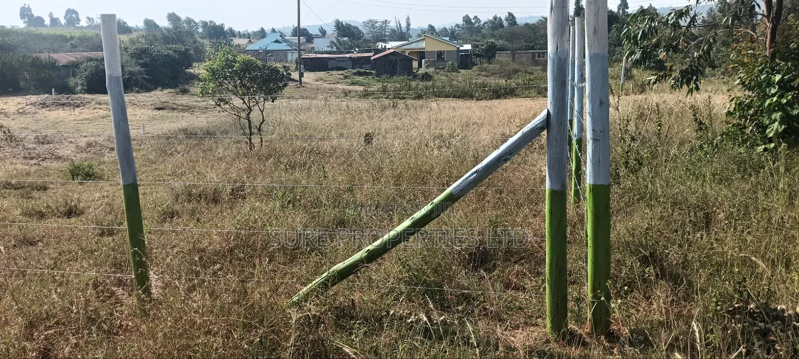 Kikuyu Kamangu 50x100 Prime Residential Plot
