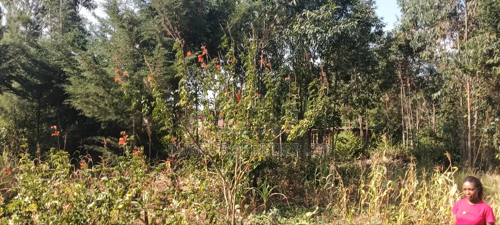 2 Acres Ngoirubi Thigio