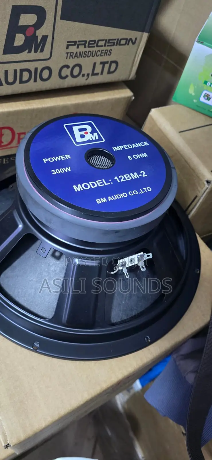 Bm 12 Inch Speaker