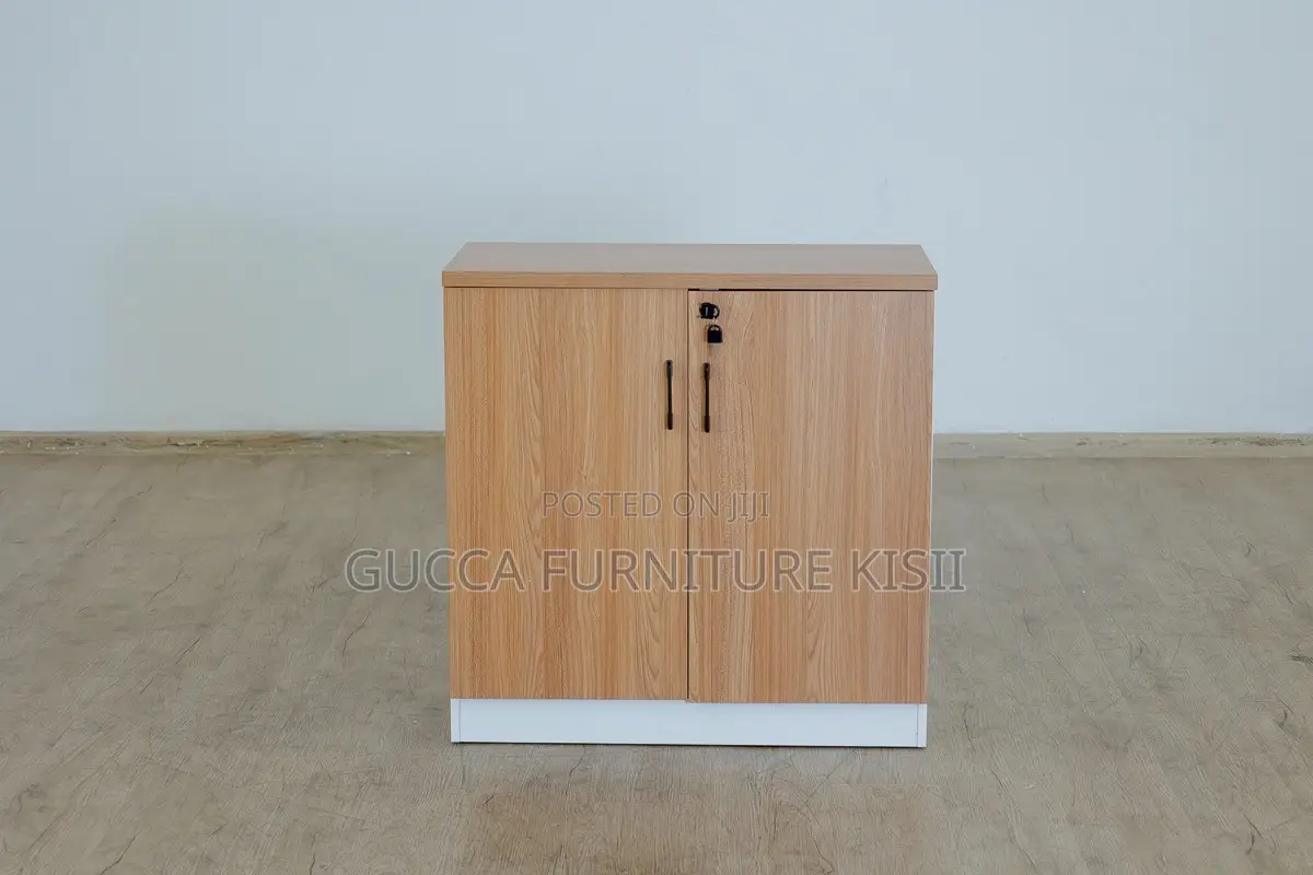 Office Cabinet; 2-Door Credenza Office Cabinet