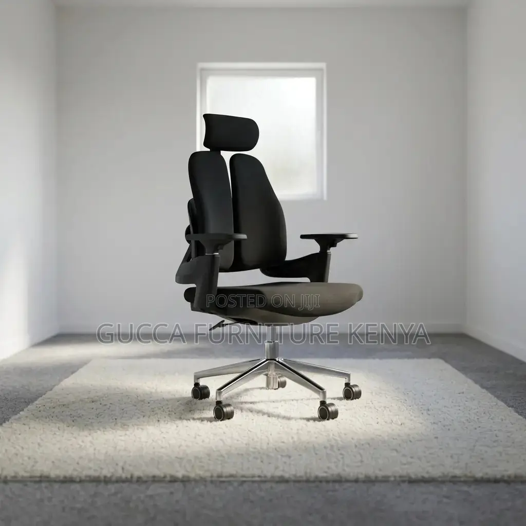 Dual Back Modern Ergonomic Chair
