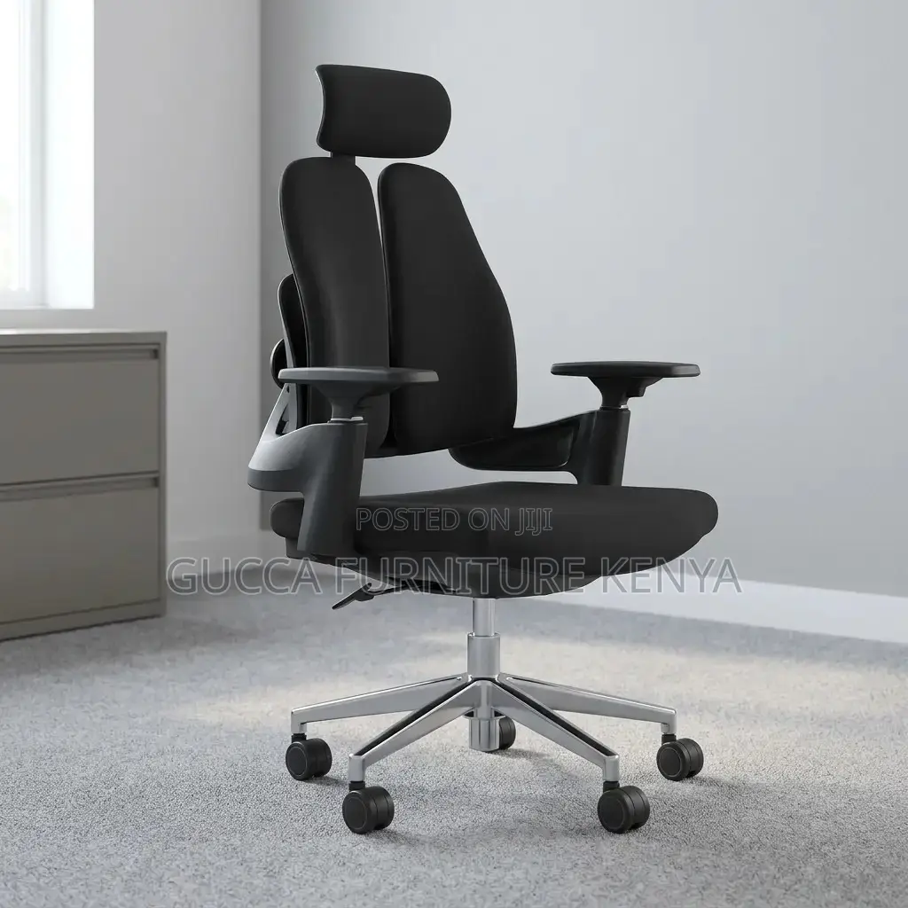 Dual Back Modern Ergonomic Chair
