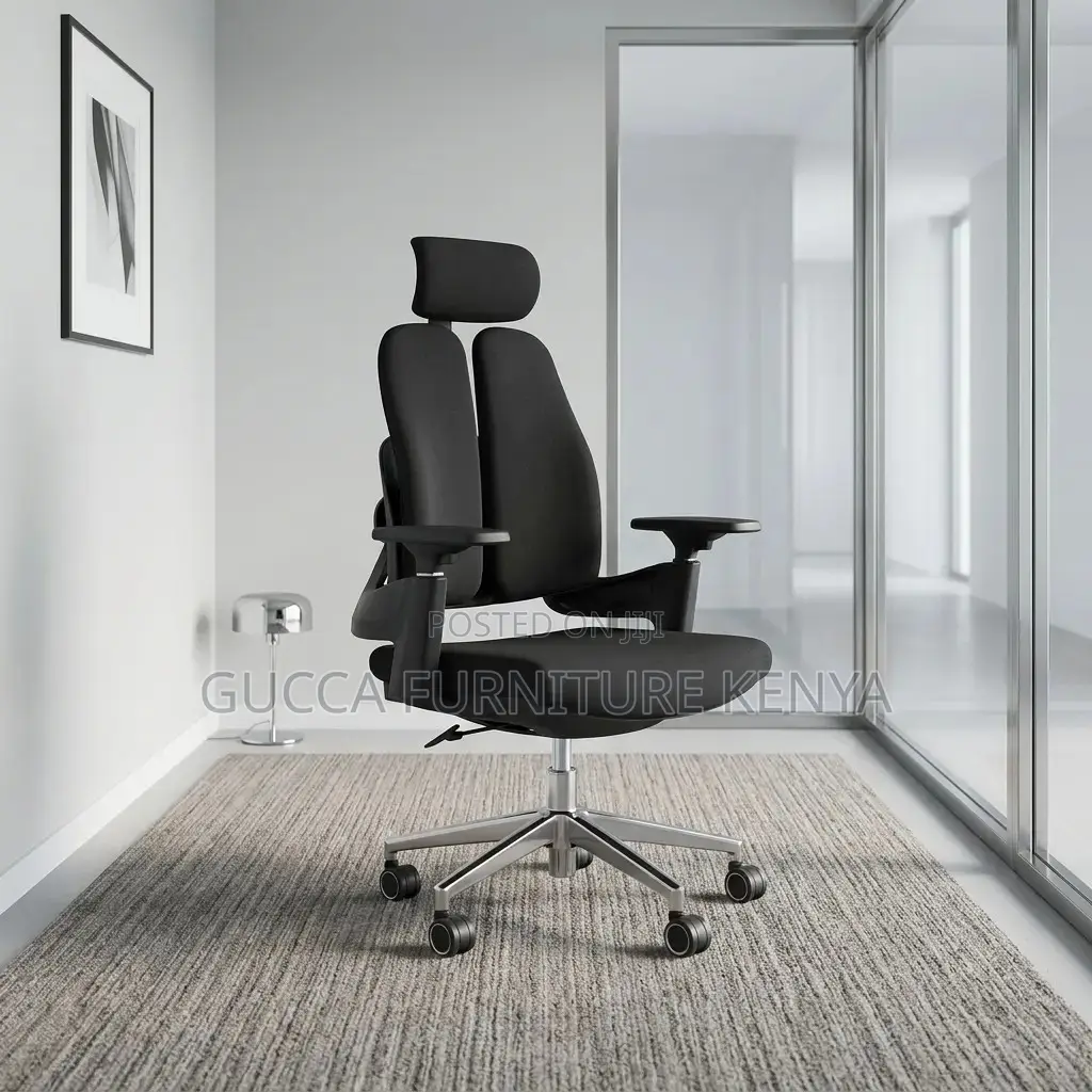 Dual Back Modern Ergonomic Chair