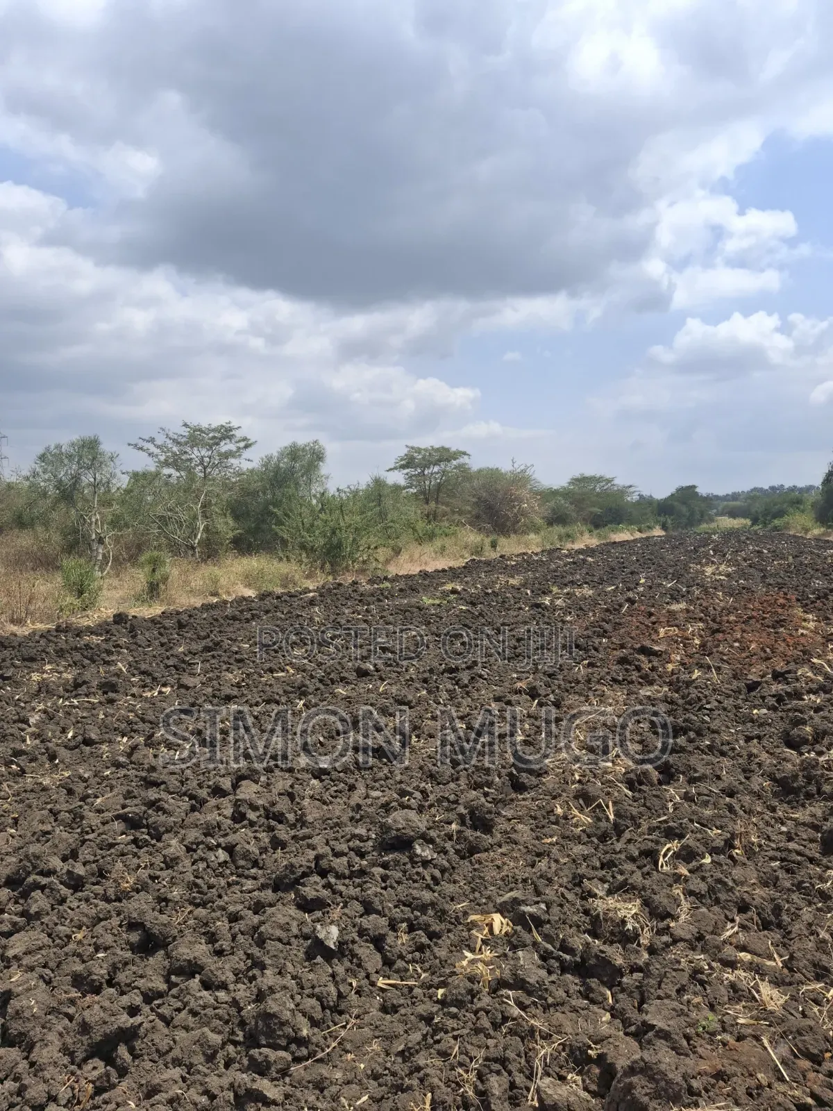 Kenol Nyeri Super Highway Rukanga Area 50x100 Freehold Title