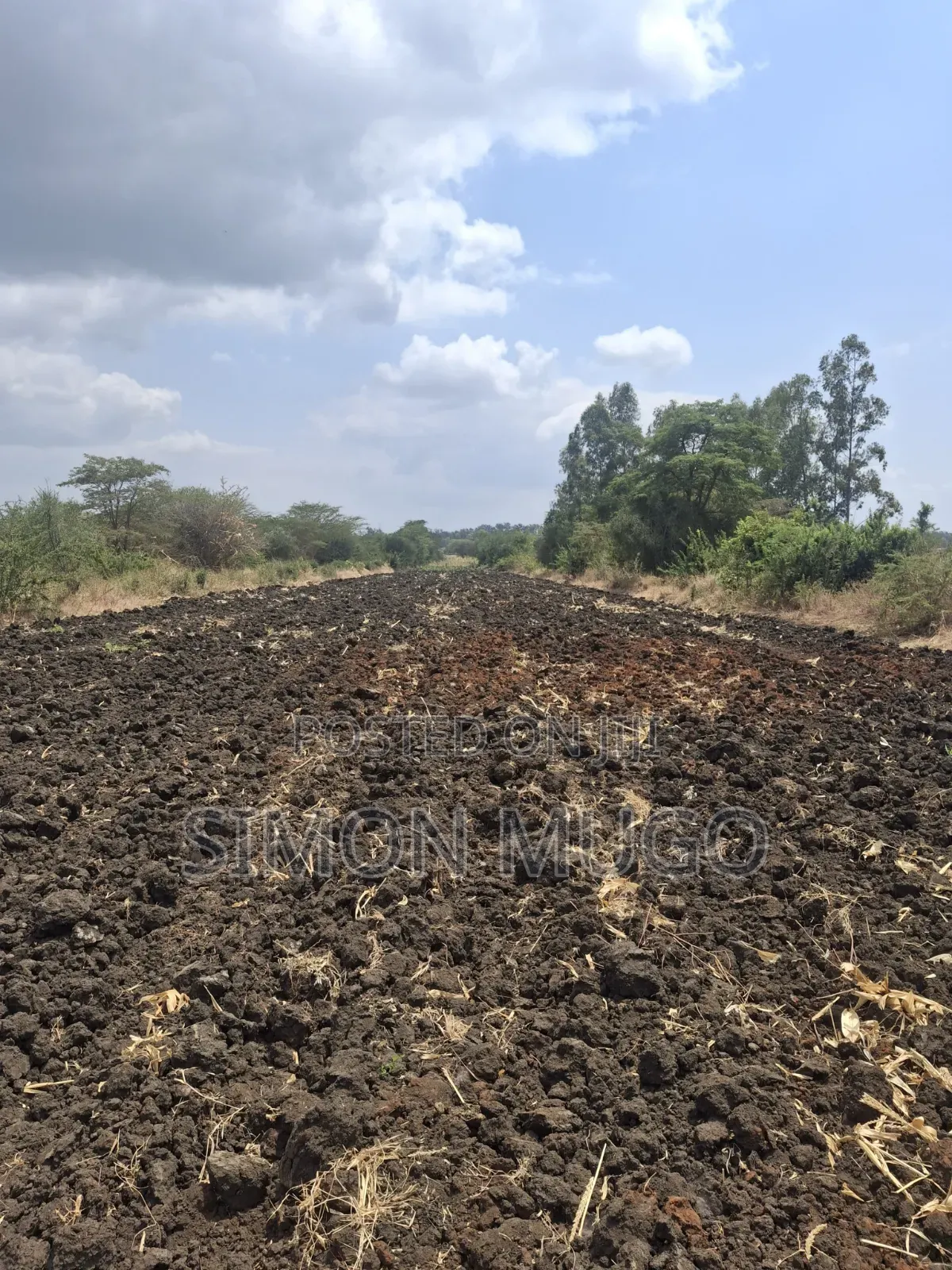 Kenol Nyeri Super Highway Rukanga Area 50x100 Freehold Title