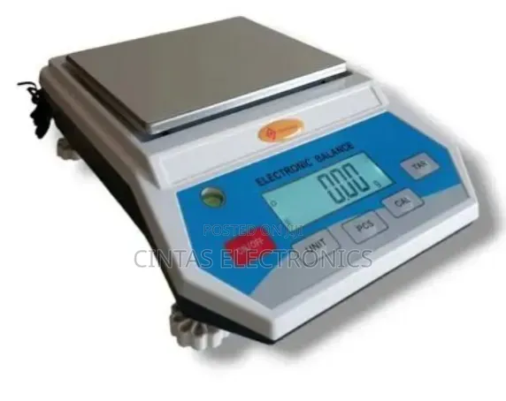 Balance Electronic Scale