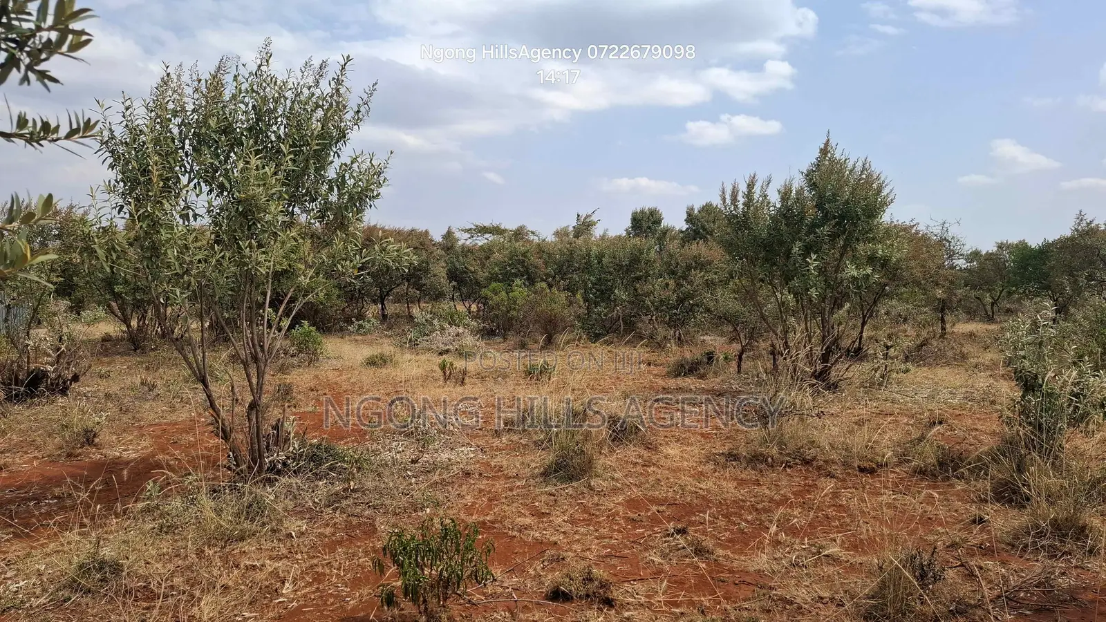 PRIME 1-Acre LAND FOR SALE: Maroroi, Ngong Views Fertile Soil