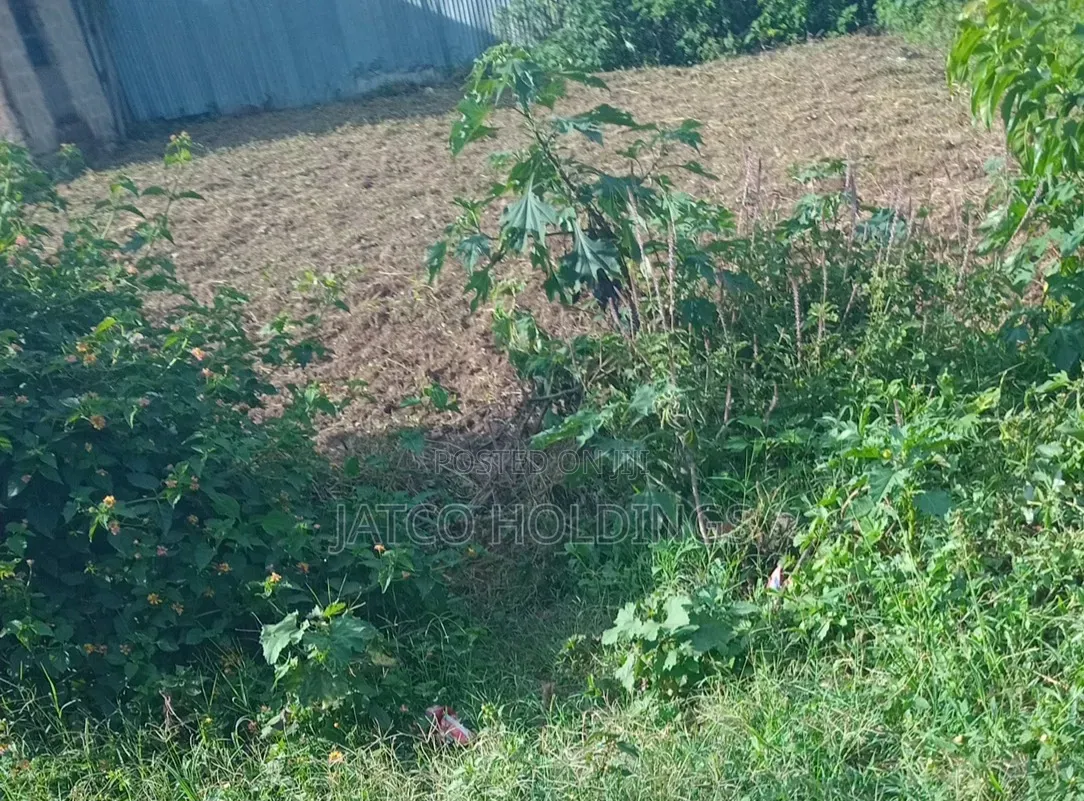 Ruiru Kamakis Karuguru 2 Plots for Sale