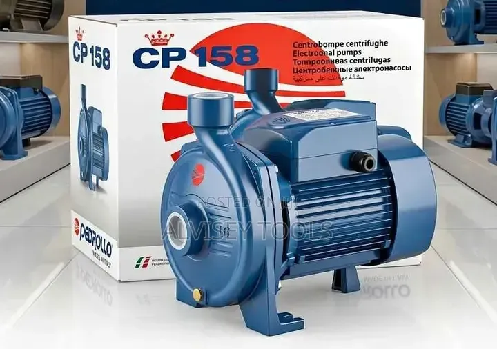 Heavy Duty Pedrollo Electric Booster Pump 1hp