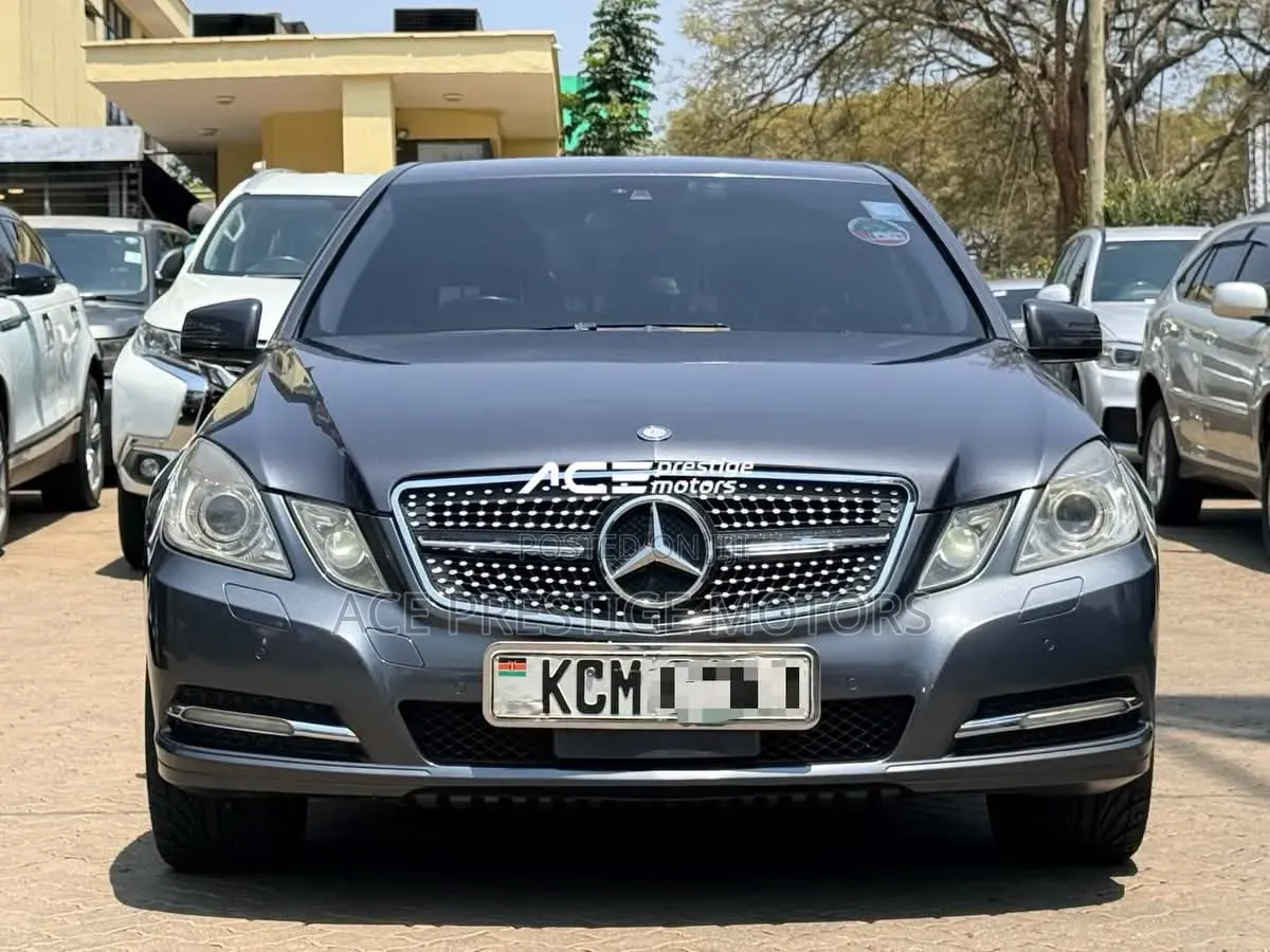 Mercedes-Benz E300 2009 Gray