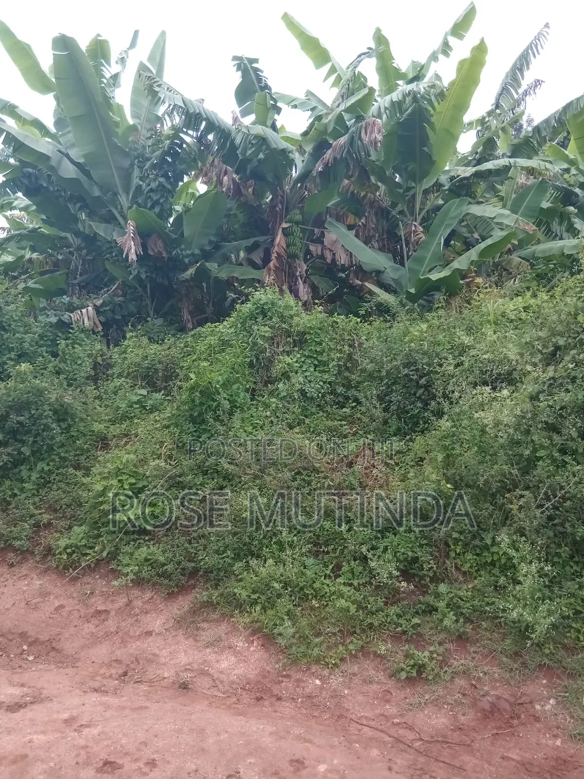 24 Acres in Mwala