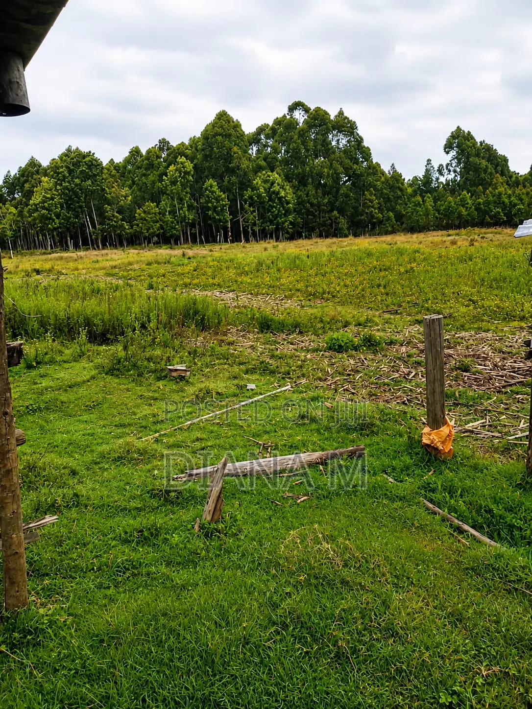 Lucrative 12-Acre Agricultural Holding in Kasuku, Nyandarua