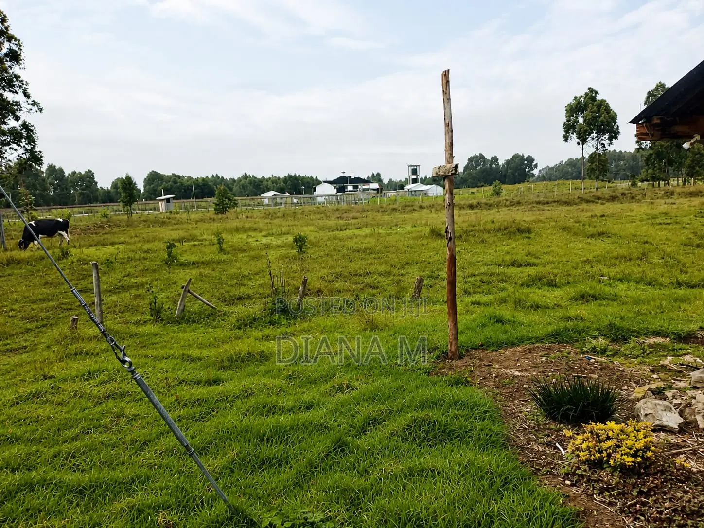 Lucrative 12-Acre Agricultural Holding in Kasuku, Nyandarua