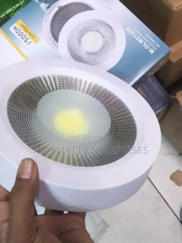 Cob Down Light