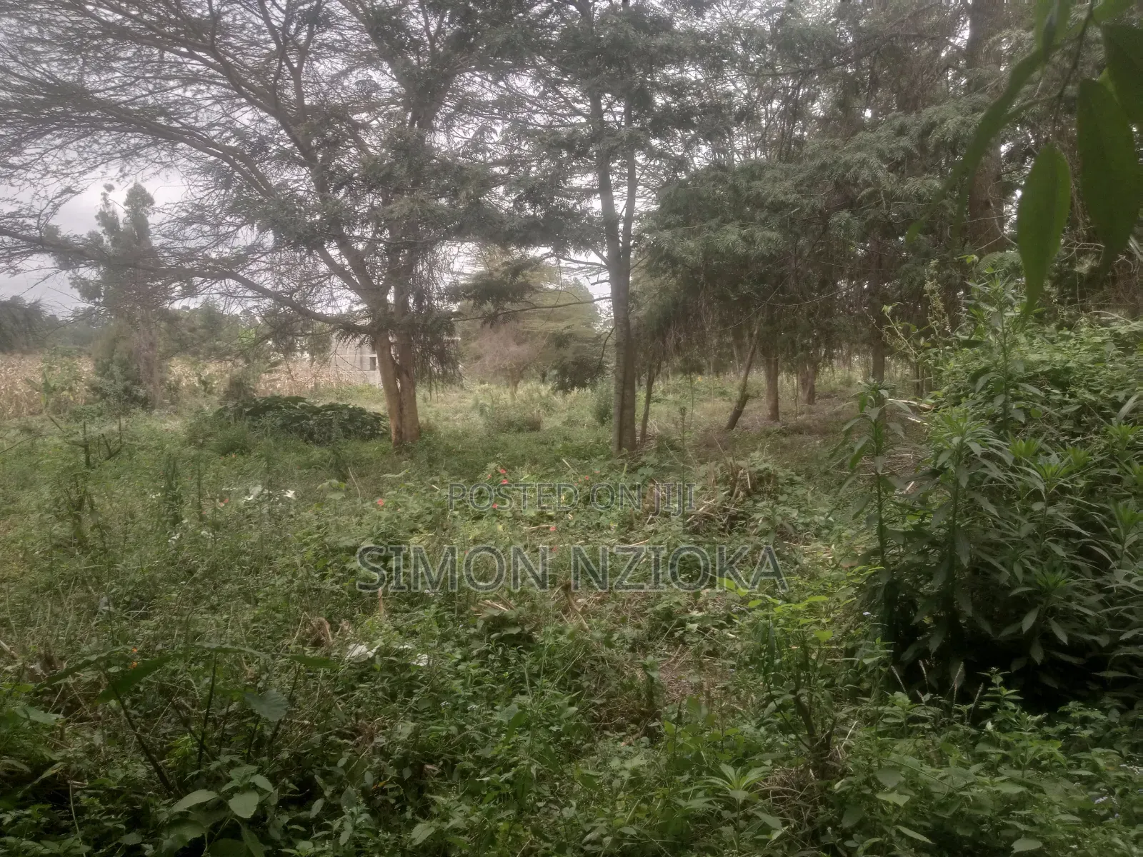 2 Acres for Sale in Matasia, Ngong, Kajiado
