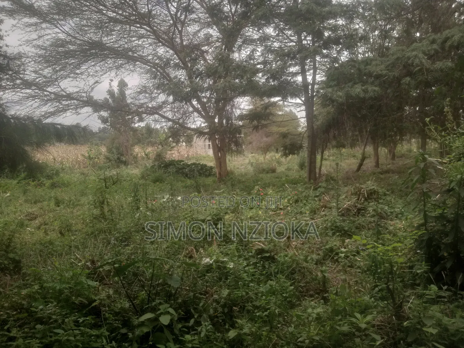 2 Acres for Sale in Matasia, Ngong, Kajiado