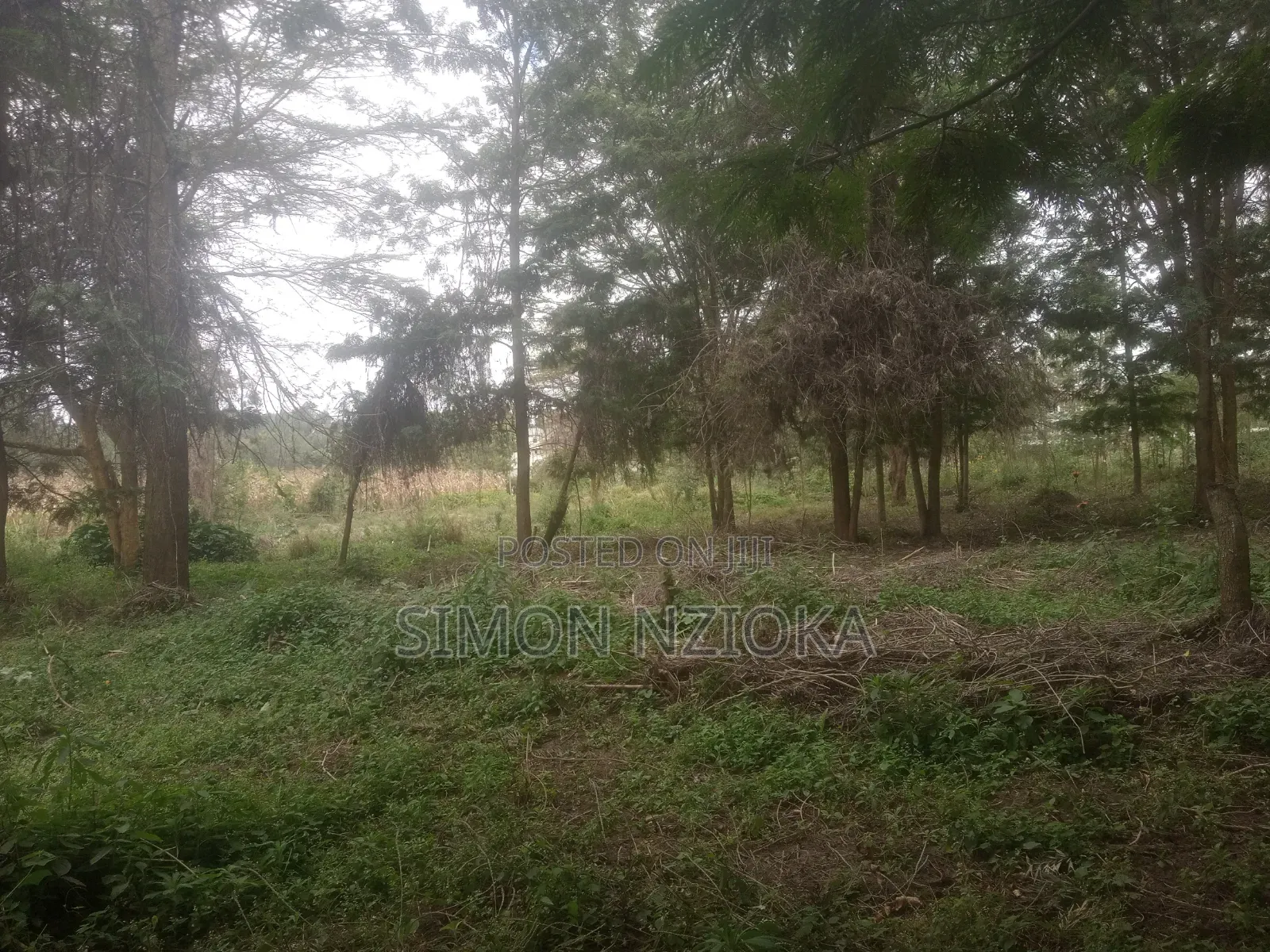 2 Acres for Sale in Matasia, Ngong, Kajiado